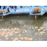 Visita a Aguas de Corrientes - 5to. Grado del Nivel Primario